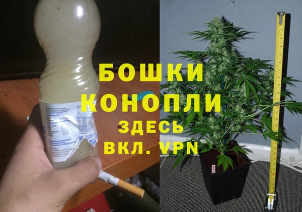 дживик Сафоново