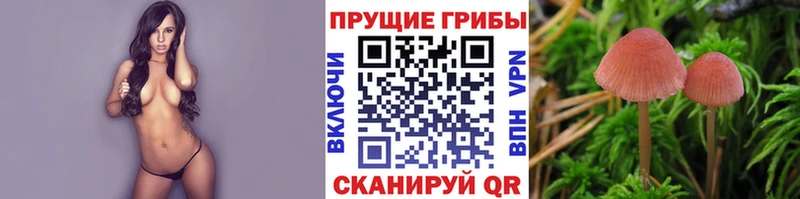 Псилоцибиновые грибы ЛСД  наркошоп  Искитим 