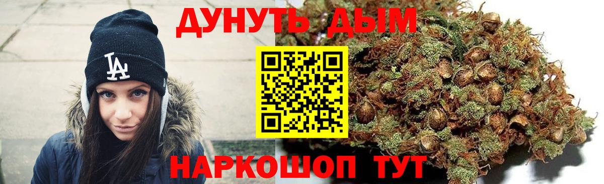 Бошки Шишки гибрид Искитим